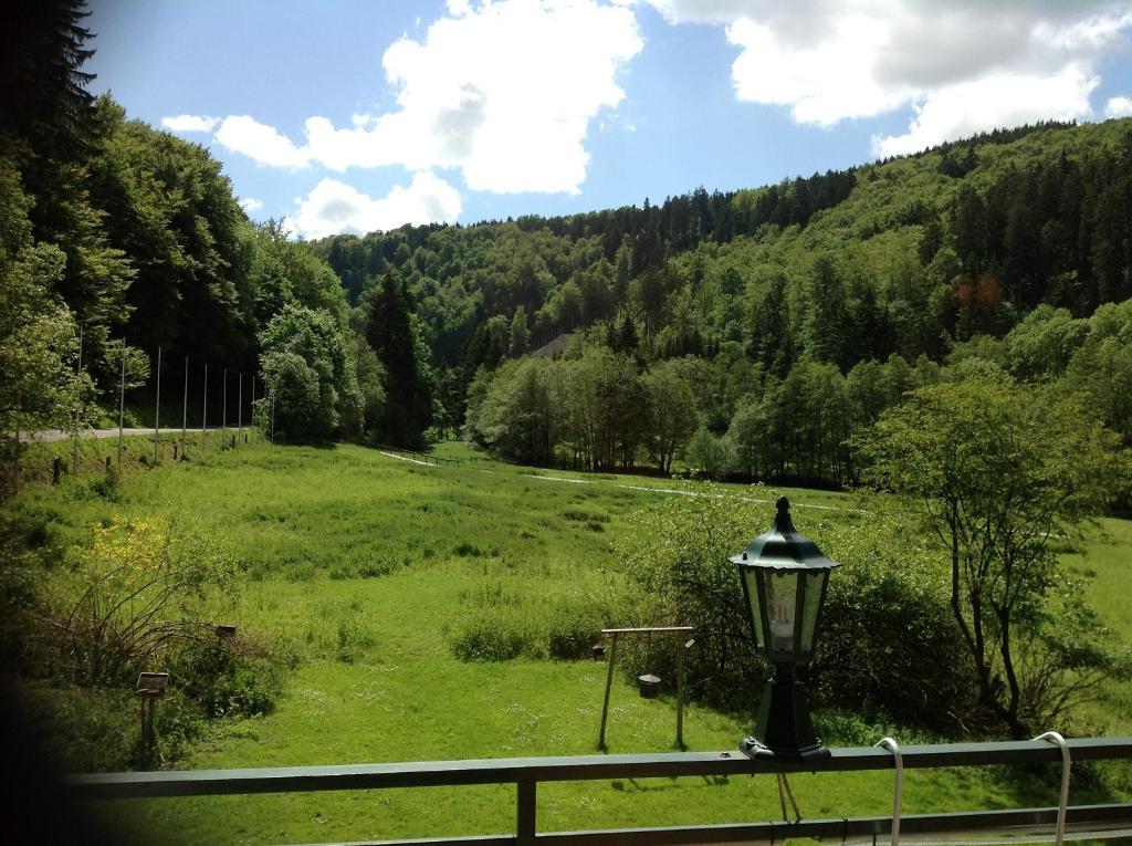 Hotel-Pension Zum Paradies Willingen  Exterior foto