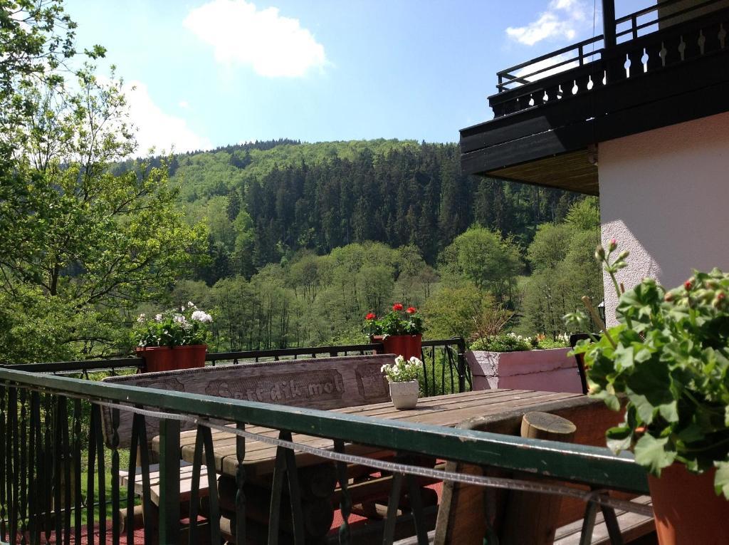 Hotel-Pension Zum Paradies Willingen  Exterior foto
